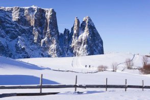 Paradiso - Itálie - Alpe di Siusi - Seiser Alm