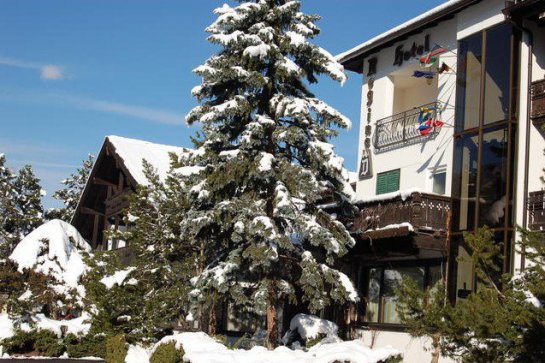 Park Hotel Regina delle Dolomiti - Itálie - Val di Fiemme - Panchiá