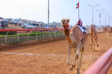 PARK ROTANA - Spojené arabské emiráty - Abú Dhábí