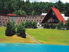 Parkhotel Všemina