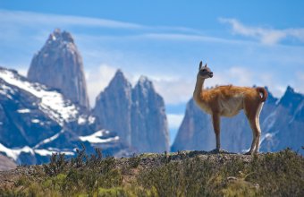 Patagonie, Ohňová země + luxusní plavba