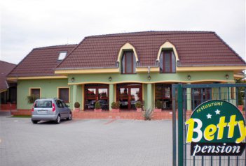 Penzion Betty - Slovensko - Jižní Slovensko - Velký Meder