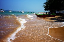 Perla skrytá v Indickém oceánu: Královská města a čajové plantáže Cejlonu - Srí Lanka