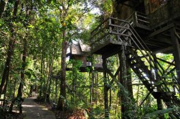 Permai Rainforest Resort - Malajsie - Borneo - Sarawak