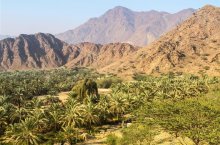 Perský záliv - Emiráty a Bahrajn - Spojené arabské emiráty