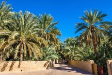 Perský záliv - Emiráty a Bahrajn - Spojené arabské emiráty