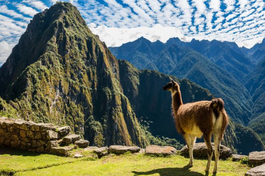 Peru, Bolívie, Amazonie - Bolívie