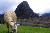 Peru, Bolívie, Chile, Argentina, Paraguay, Brazílie + Uruguay - Brazílie