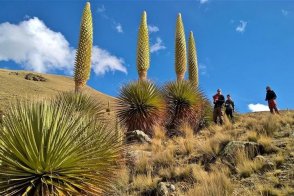 Peru + NP Huascarán - Peru