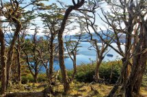 Plavba Charlese Darwina z Ushuaia na lodi Ventus Australis - Argentina