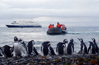 Plavba Charlese Darwina z Ushuaia na lodi Ventus Australis - Argentina