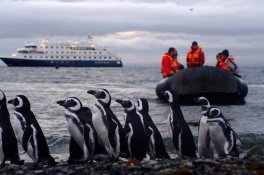 Plavba Ushuaia - Punta Arenas na lodi Stella Australis - Argentina