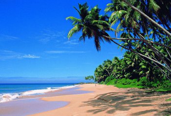 Pláže Goa a zlatý indický trojúhelník - Indie