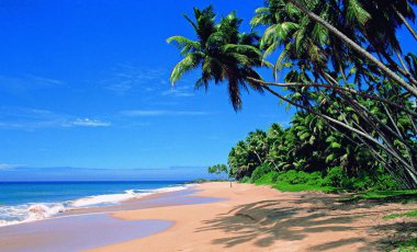 Pláže Goa a zlatý indický trojúhelník
