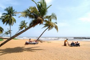 Hotel Pledge 3 - Srí Lanka - Negombo 