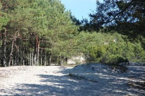 POBALTÍ - JANTAROVÁ CESTA - Litva