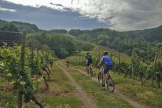 Podhůří Kavkazu a víno z Kachetie, cyklistický zájezd Gruzie - Gruzie