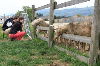 Podzimní zelená dovolená v kraji Žítkovských bohyní - Česká republika - Bílé Karpaty