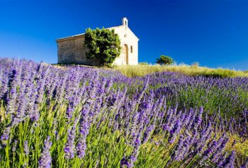 Pohodová Provence i pro gurmány - Francie - Provence