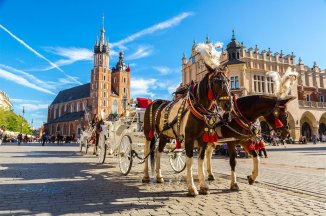 Polsko - Krakov, město králů a solný důl Wieliczka - Polsko - Krakow