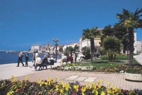 Poreč - ubytování v soukromí STANDARD - Chorvatsko - Istrie - Poreč