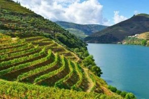 Porto - prodloužený víkend - Portugalsko - Porto