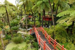Portugalské perly Atlantiku - Portugalsko - Madeira 