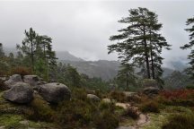 Portugalsko: Peneda-Gerês - GR 50 - Portugalsko