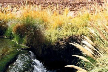 Poušť Atacama a Velikonoční ostrov - Chile