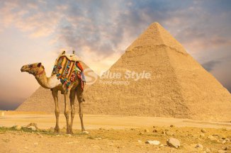 Poznávací zájezd - Abydos - Egypt - Hurghada