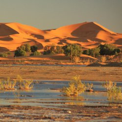 Poznávací zájezd Maroko: Velký okruh Marokem