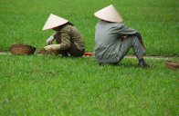 Poznávací zájezd Vietnam, Velká rýžová pohádka - Vietnam
