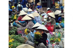 Poznávací zájezd Vietnam, Velká rýžová pohádka - Vietnam