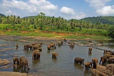 Přírodní bohatství Srí Lanky