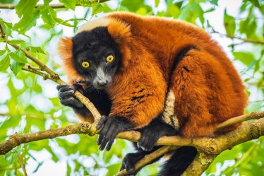 Přírodní krásy Madagaskaru