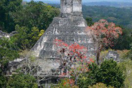 Přírodní krásy Mexika a Guatemaly - Mexiko