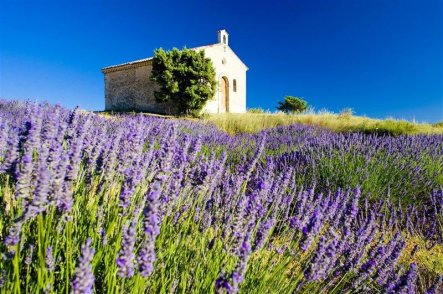 Provence... tam, kde voní tymián - turistické skvosty a přírodní parky - Francie - Provence