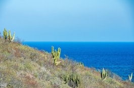 Putování severním Mexikem - Copper Canyon a Baja California - Mexiko