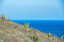 Putování severním Mexikem - Copper Canyon a Baja California - Mexiko