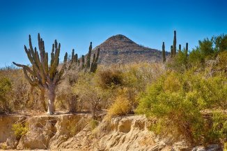 Putování severním Mexikem - Copper Canyon a Baja California - Mexiko