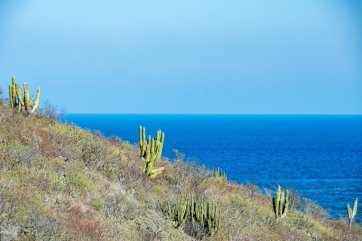 Putování severním Mexikem - Copper Canyon a Baja California - Mexiko