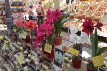 Putování z Fríska do Flander - Nizozemsko