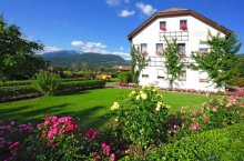 Residence Lechnerhof - Itálie - Plan de Corones - Kronplatz  - Riscone