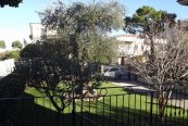 Residence Mimosa - Itálie - Palmová riviéra - Villa Rosa