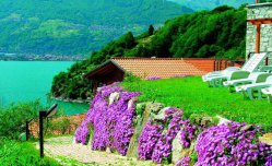 Residence Oasi dei Celti - Itálie - Lago di Como - Dorio