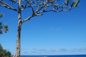 Réunion a Mauricius: Zapomenuté perly v Indickém oceánu - Réunion