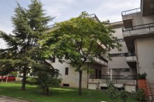 Rezidence Donizetti - Itálie - Palmová riviéra - Villa Rosa