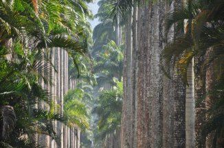 Rio, Iguazú a Buenos Aires - Brazílie