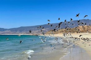 Rodinná dovolená v Ománu - Omán