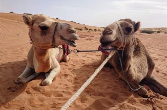Rodinná dovolená v Ománu - Omán
